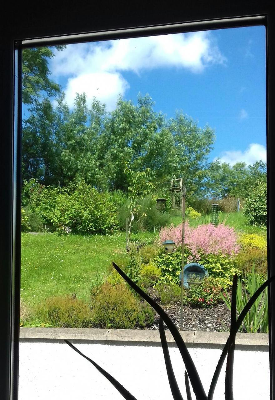 Goldenhill Guesthouse Omagh Kültér fotó